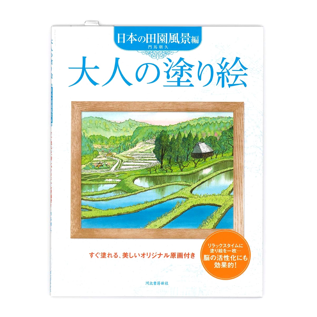 Adult Coloring Book: Japanese Rural Landscapes Edition