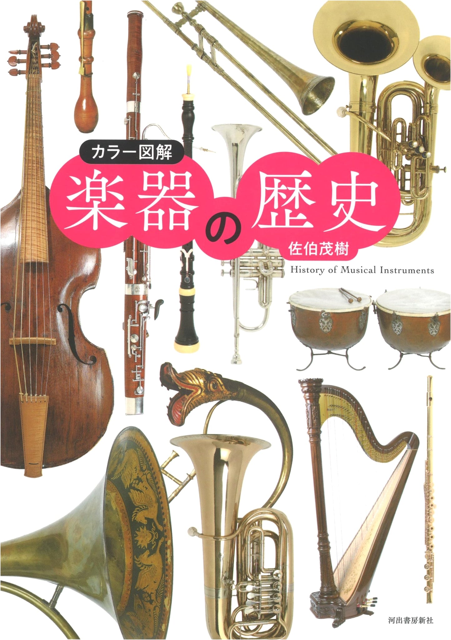 Color Illustrated History of Musical Instruments