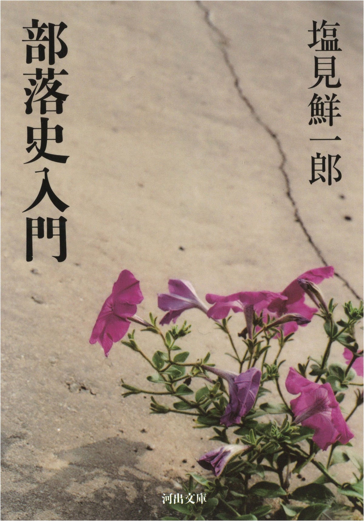 Introduction to Buraku History (Kawade Bunko Shi 13-9)
