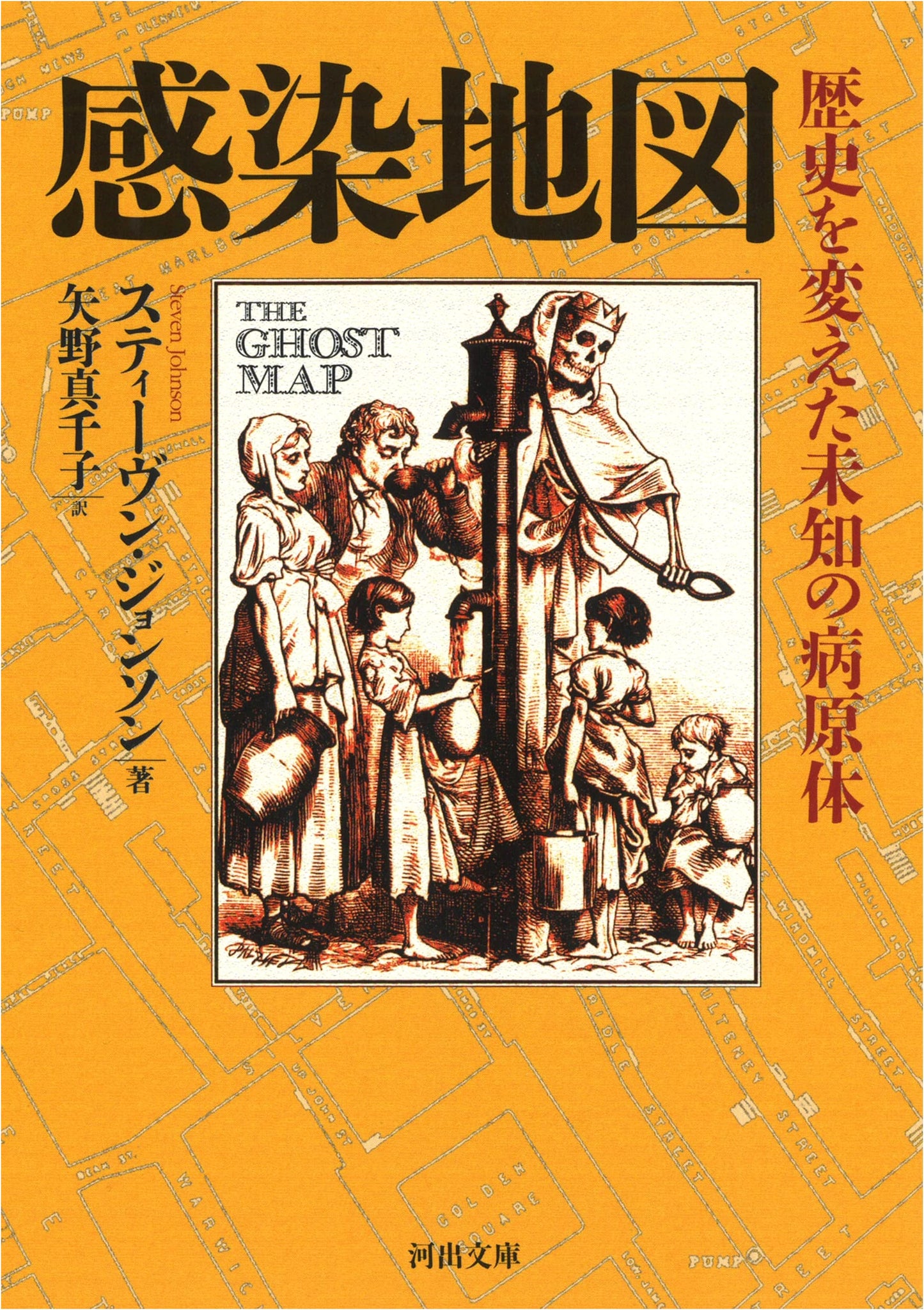 Infection Map: Unknown Pathogens That Changed History (Kawade Bunko)