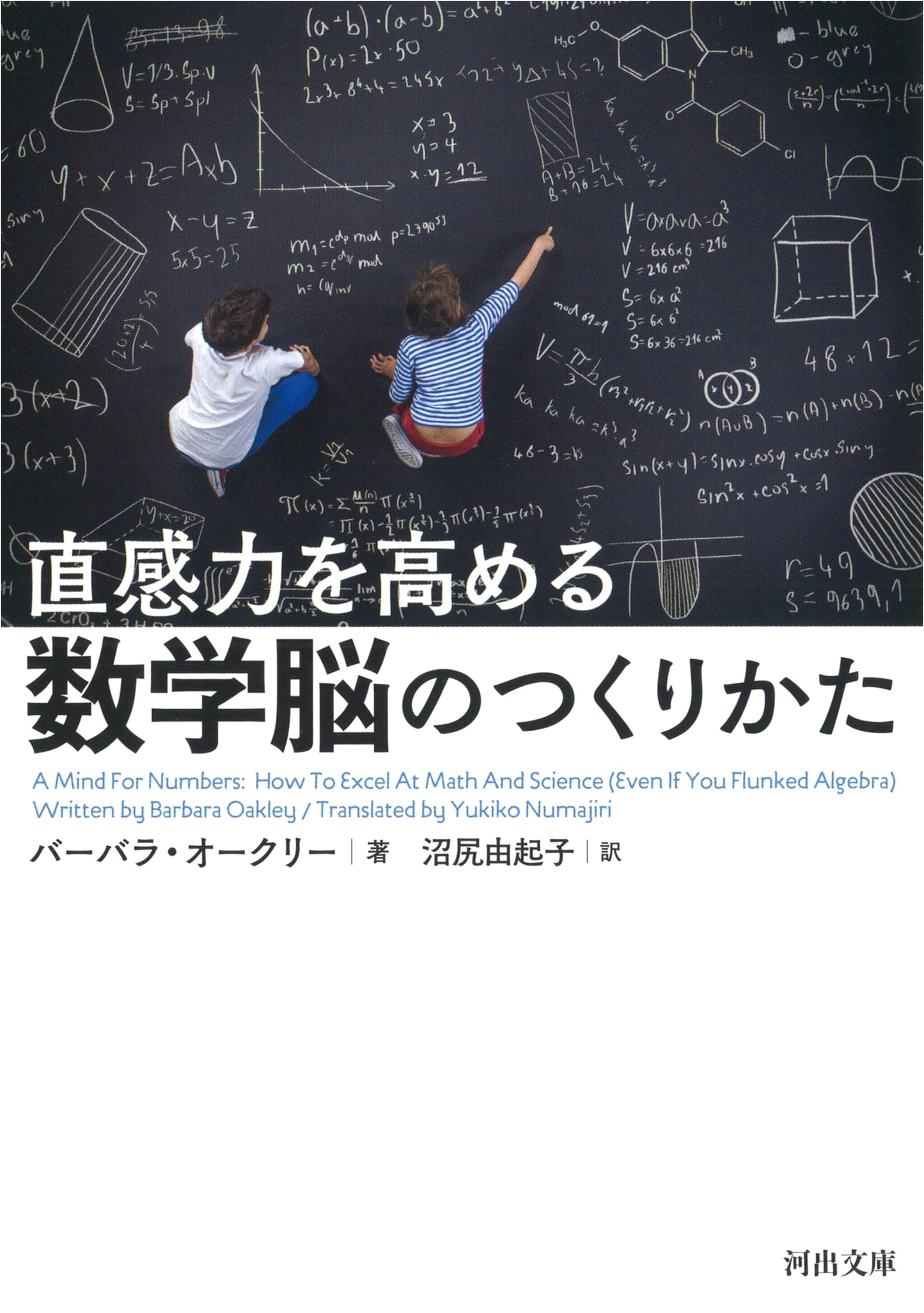 Cultivating a Mathematical Mind to Enhance Intuition (Kawade Bunko O 6-1)