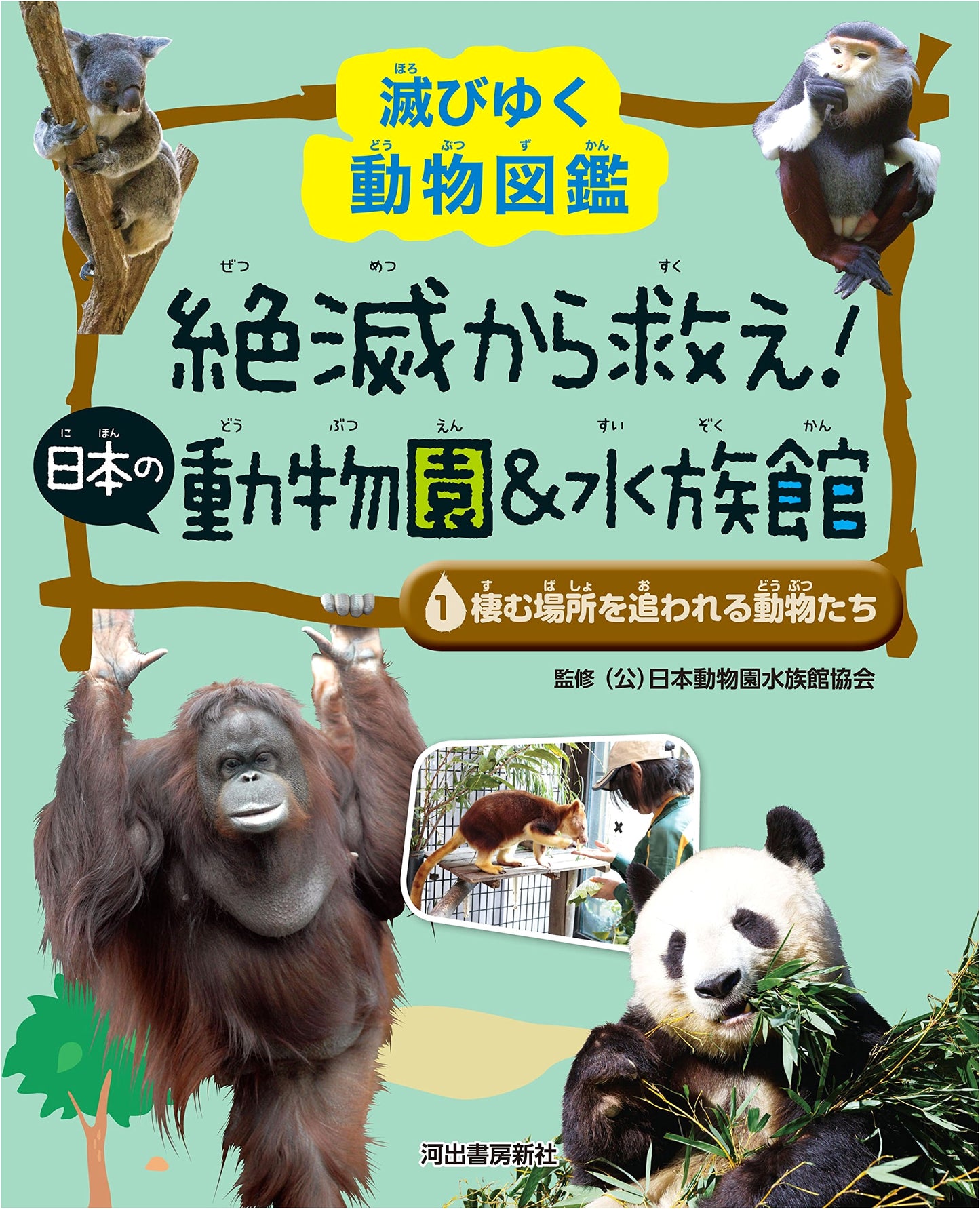 Animals Driven from Their Habitats: An Illustrated Guide to Vanishing Species