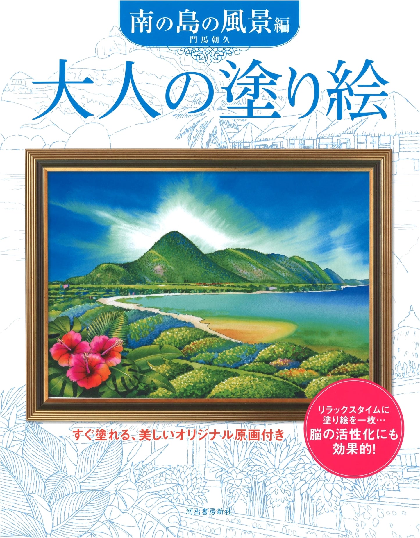 Adult Coloring Book: Southern Island Scenery Edition