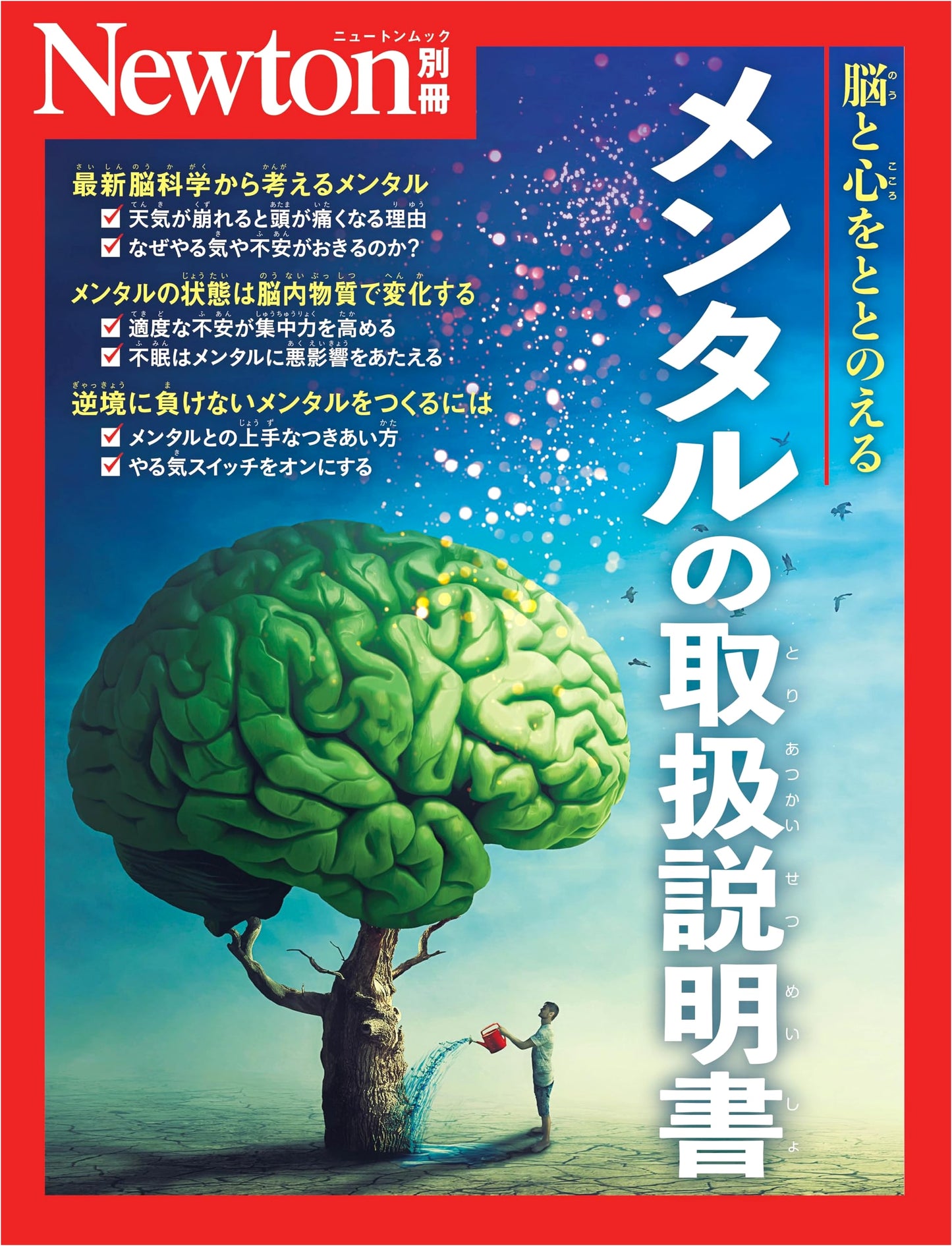 Newton's Guide to Mental Health: A User's Manual