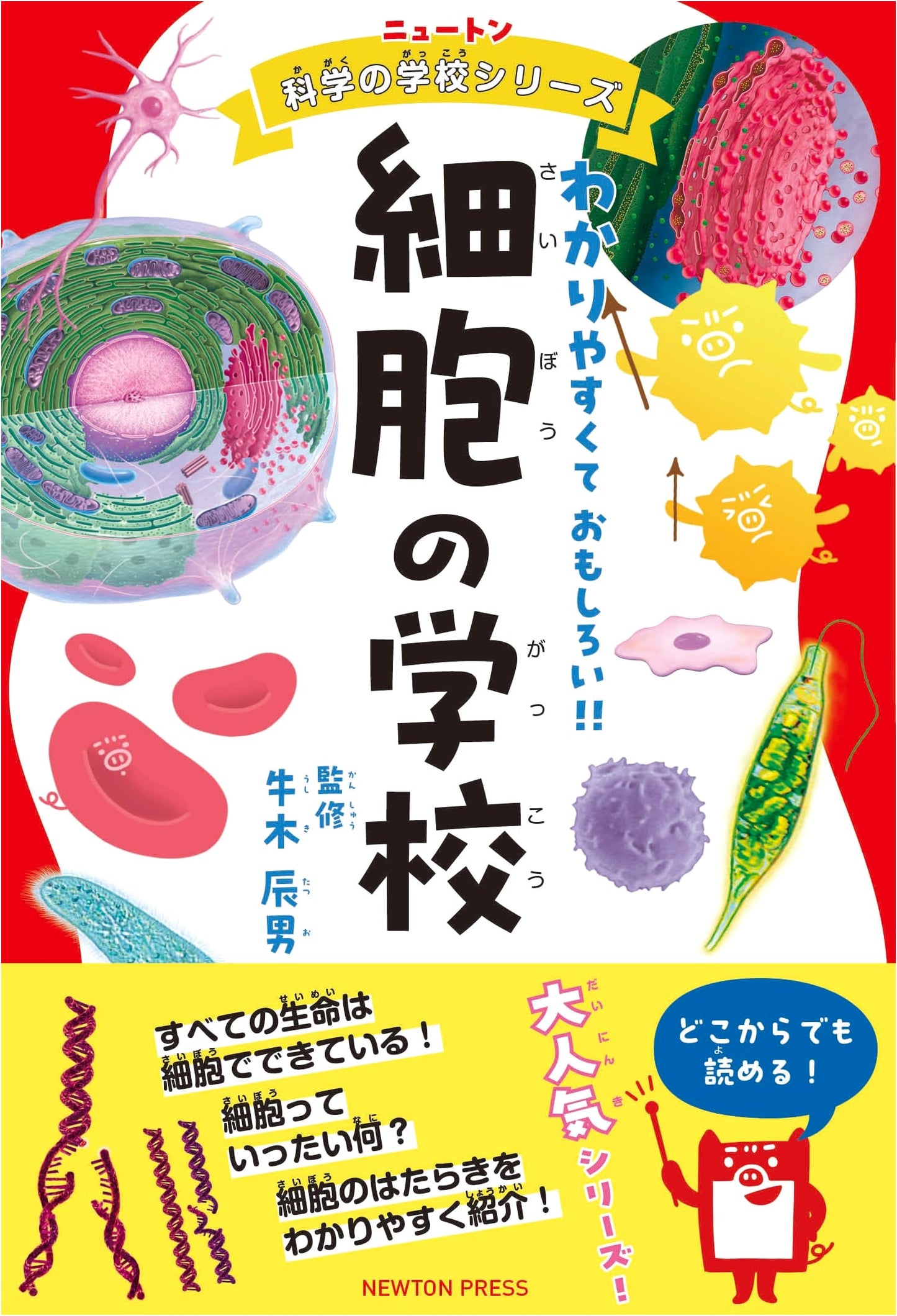 Newton Science School Series: The School of Cells