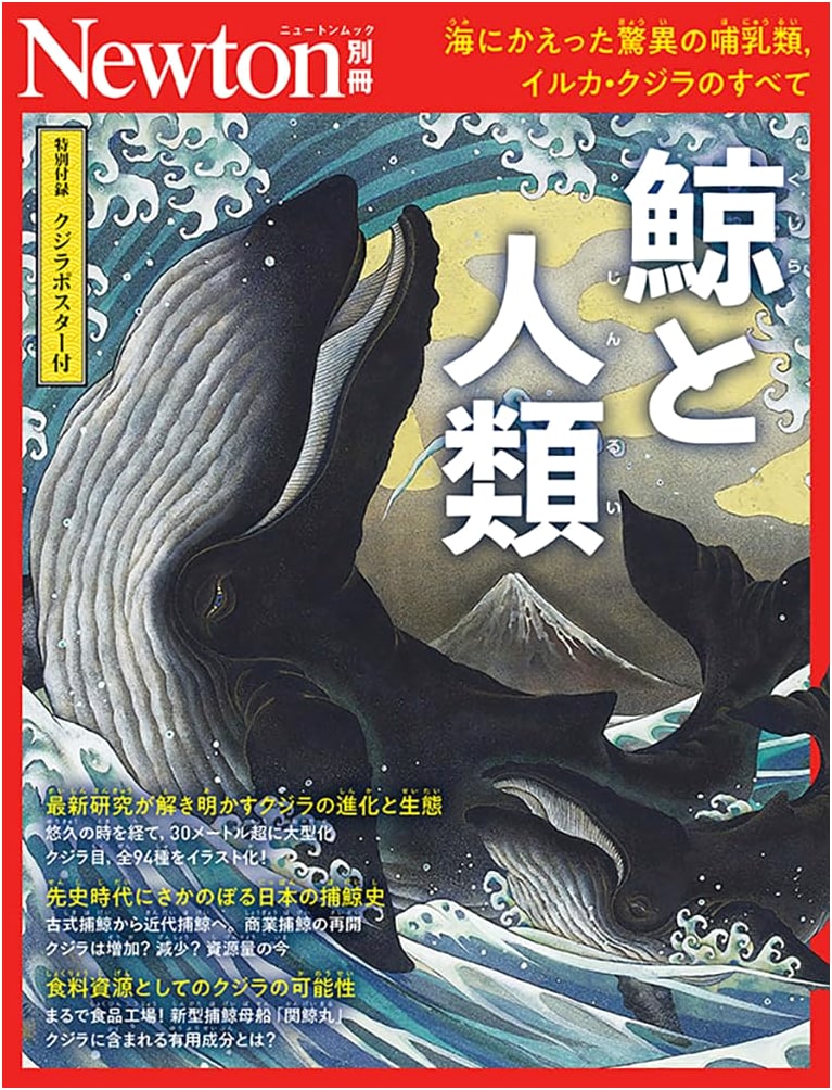 Whales and Humanity: Newton Special Edition