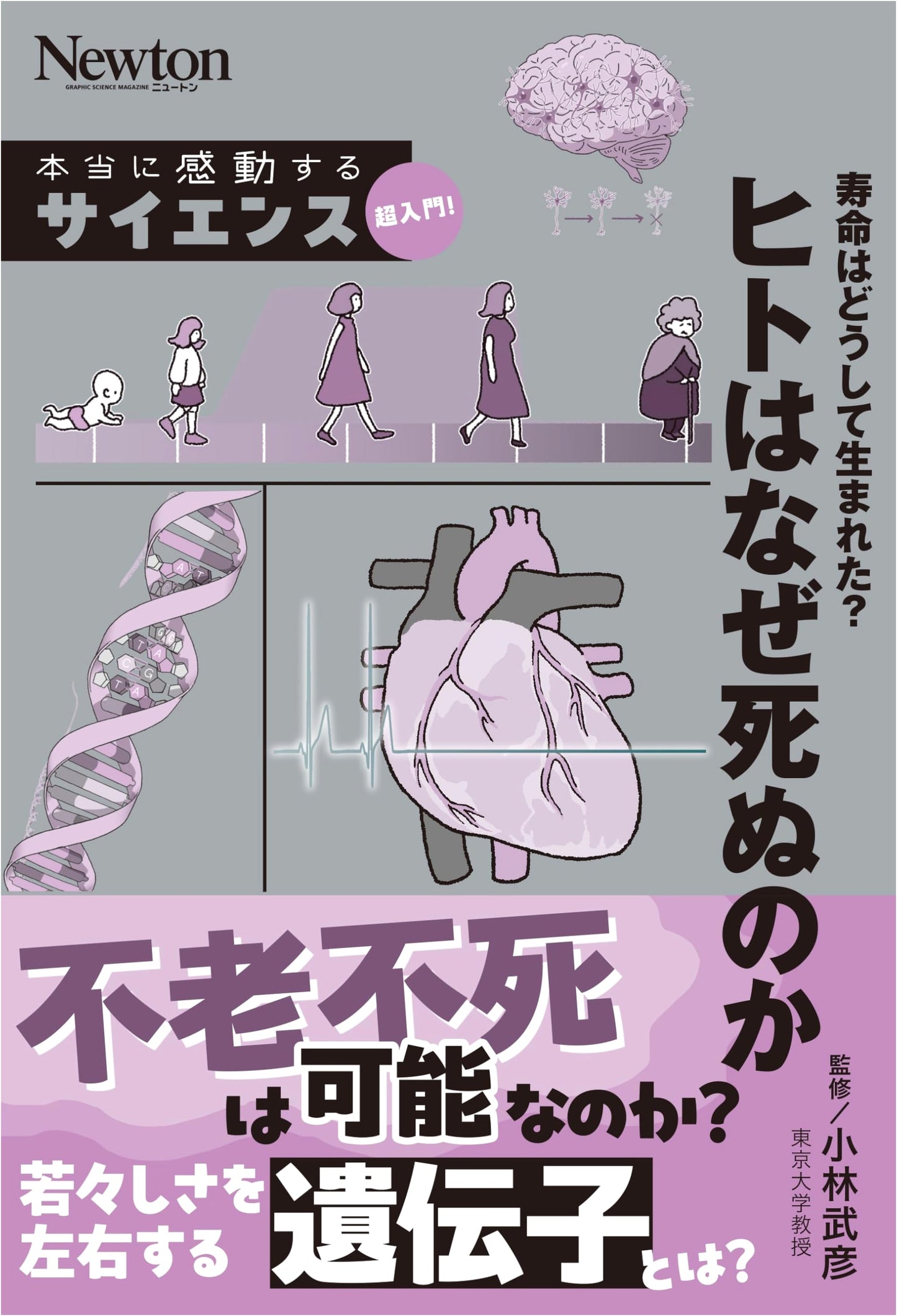 Science for Beginners: Why Was Lifespan Created? Why Do Humans Die?