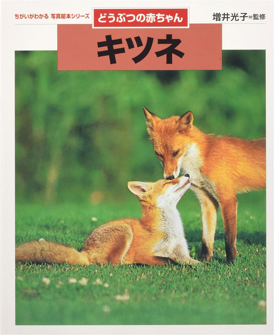 Baby Fox: A Photo Picture Book for Understanding Animal Differences
