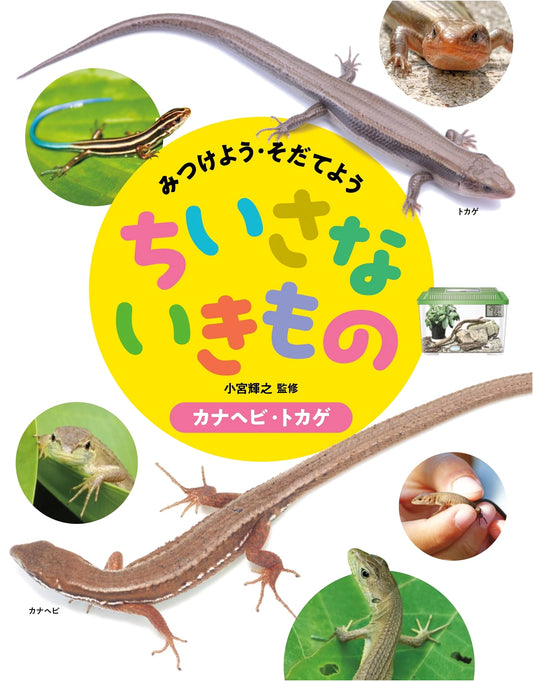 Lizards: Find and Raise Small Creatures (Discover & Grow Small Animals Series)