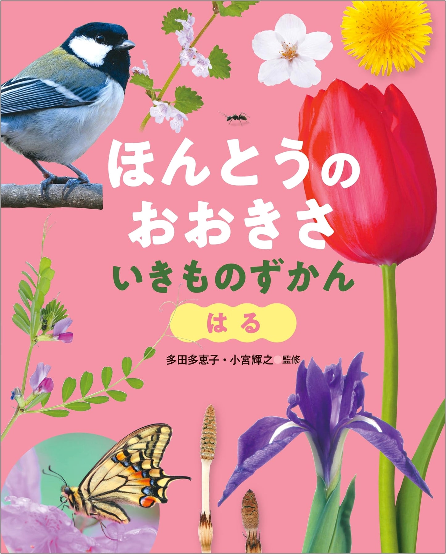 Spring: An Actual Size Encyclopedia of Living Things
