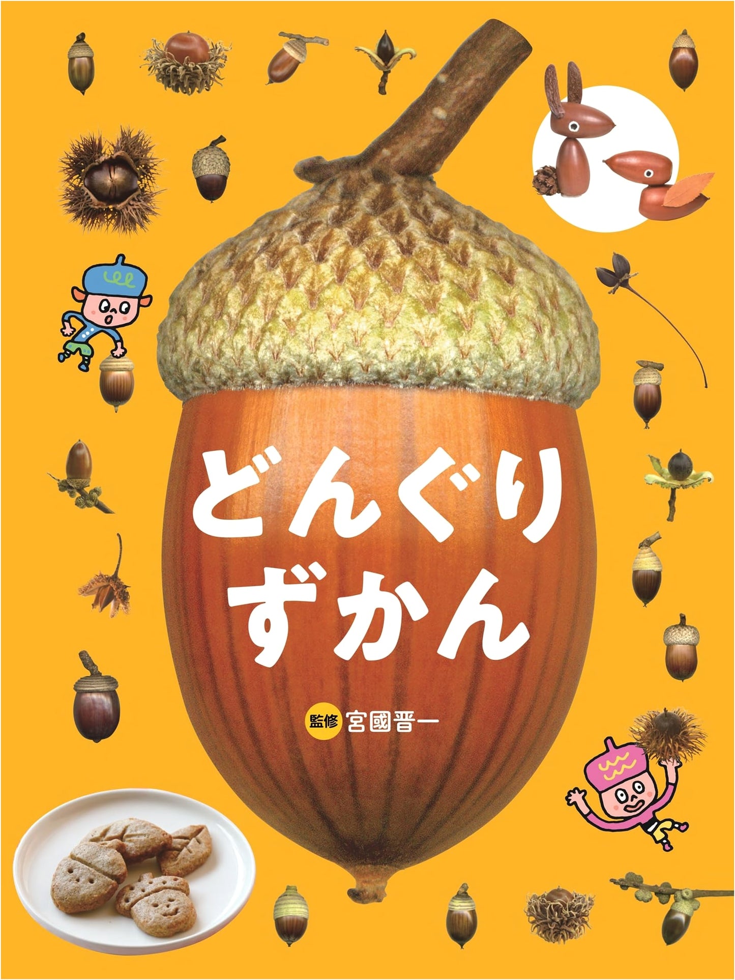 Acorn Picture Book