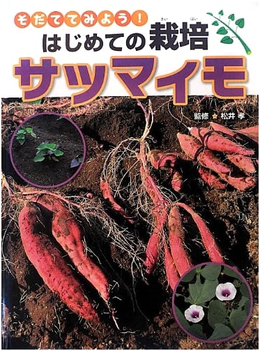 Sweet Potatoes: Let's Grow Them! First-Time Cultivation Guide