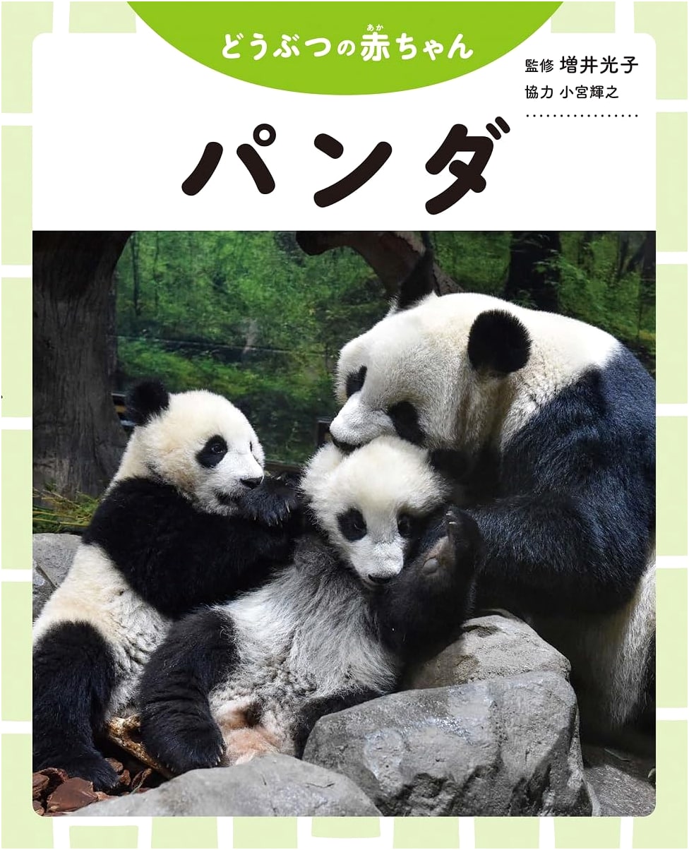 Panda (Animal Babies)
