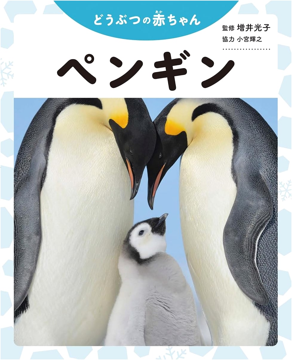 Penguin (Baby Animals Series)