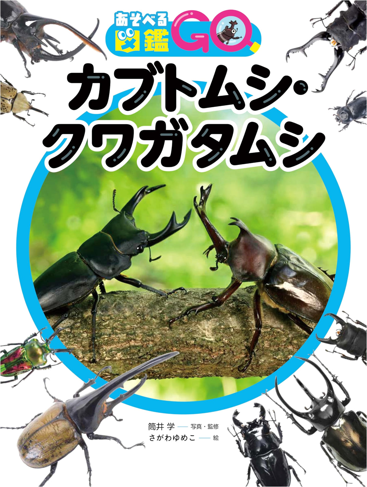 Playable Encyclopedia GO: Beetles and Stag Beetles (Hardcover)