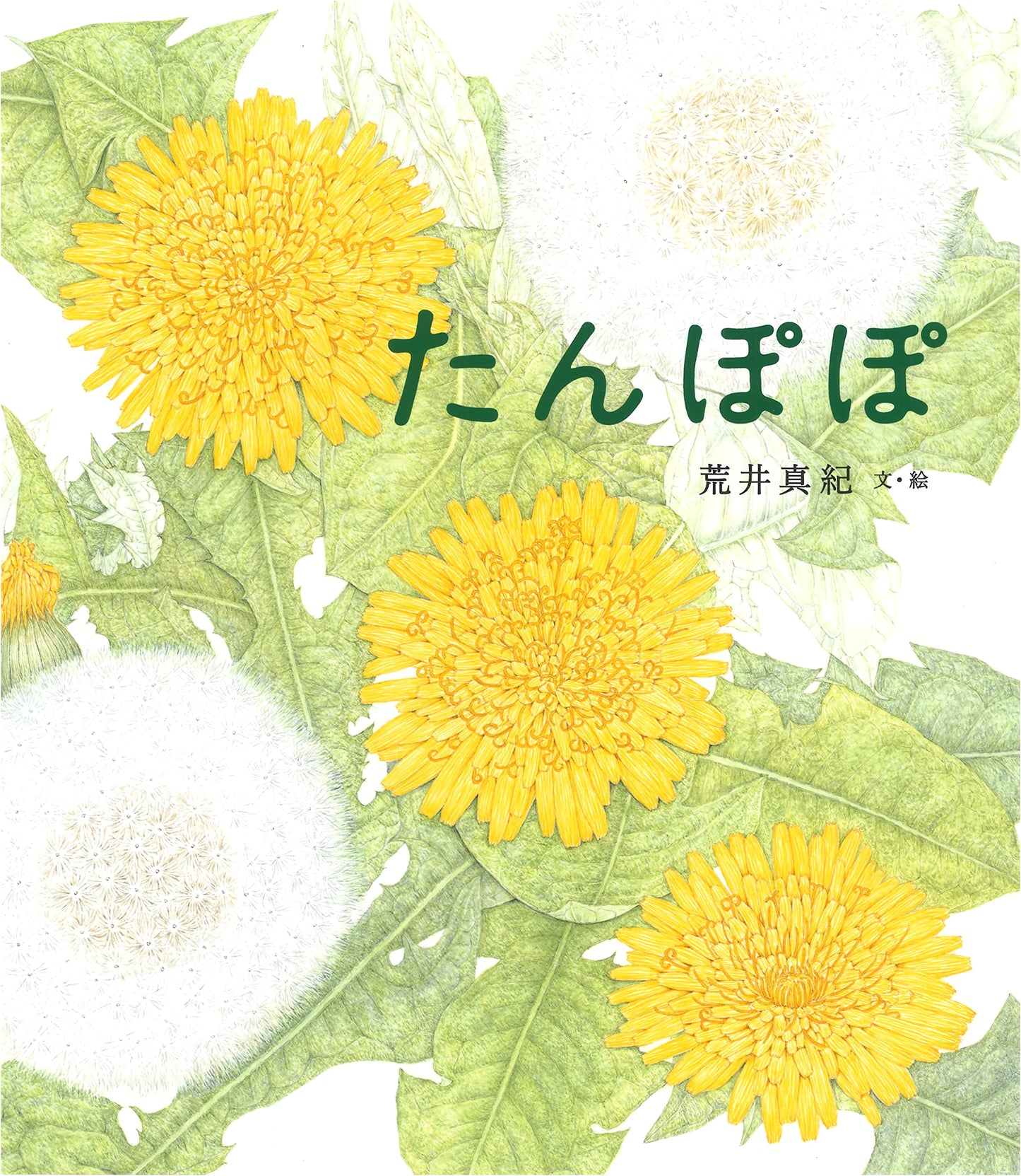 Dandelion (Tanpopo): A Flower Picture Book by Maki Arai