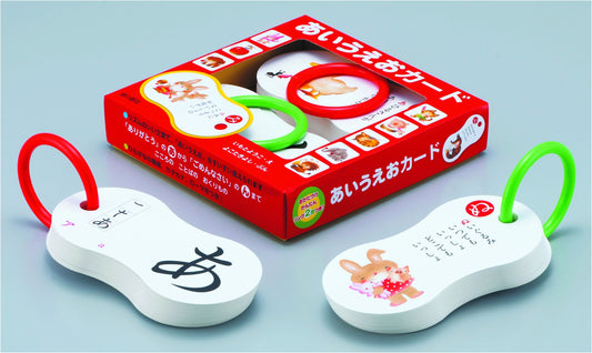Aiueo Japanese Hiragana Learning Cards