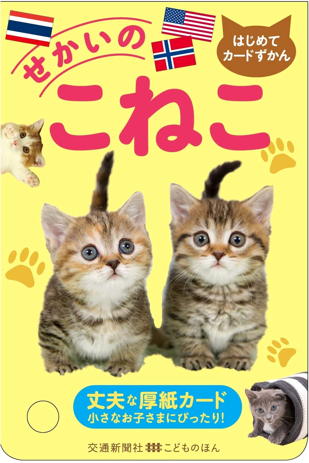 My First Card Picture Book: Kittens of the World