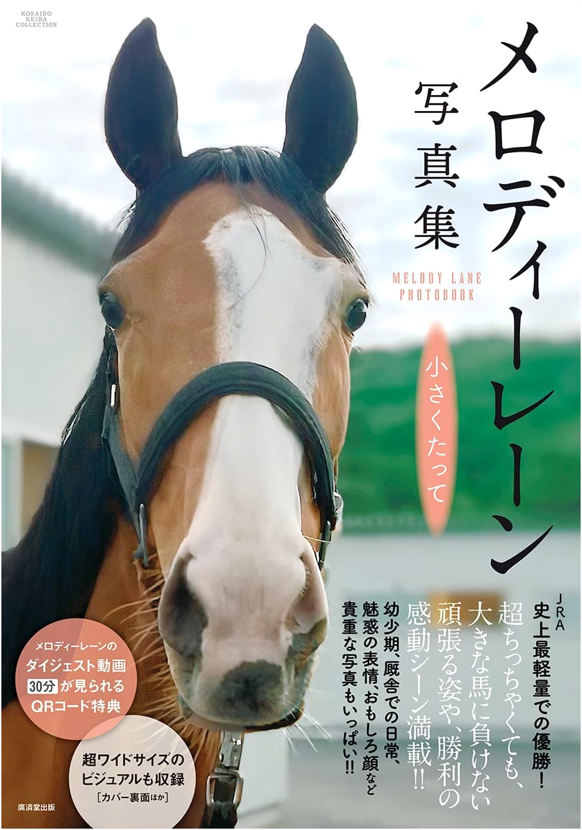 Melody Lane Photo Book: Small But Mighty Idol Horse
