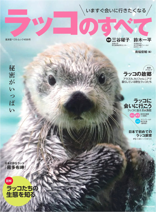 All About Sea Otters