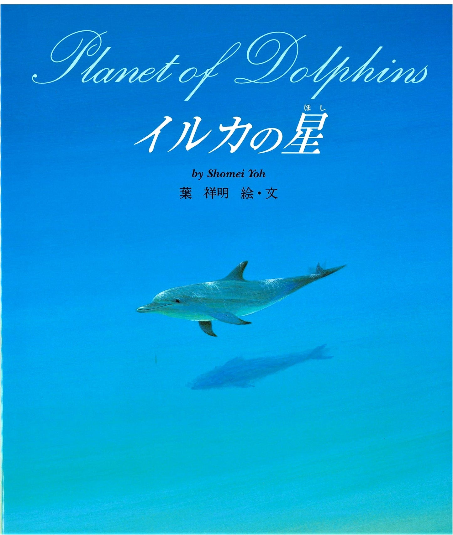 Dolphin's Star