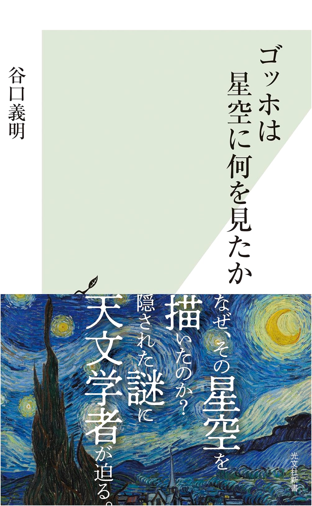 What Did Van Gogh See in the Starry Sky? by Yoshiaki Taniguchi