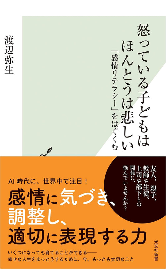 Angry Children Are Actually Sad: Fostering Emotional Literacy by Yayoi Watanabe