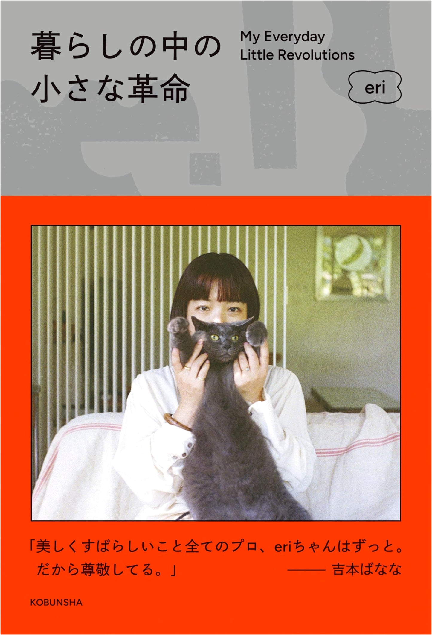A Small Revolution in Daily Life by eri (with Poster Data DL Bonus)