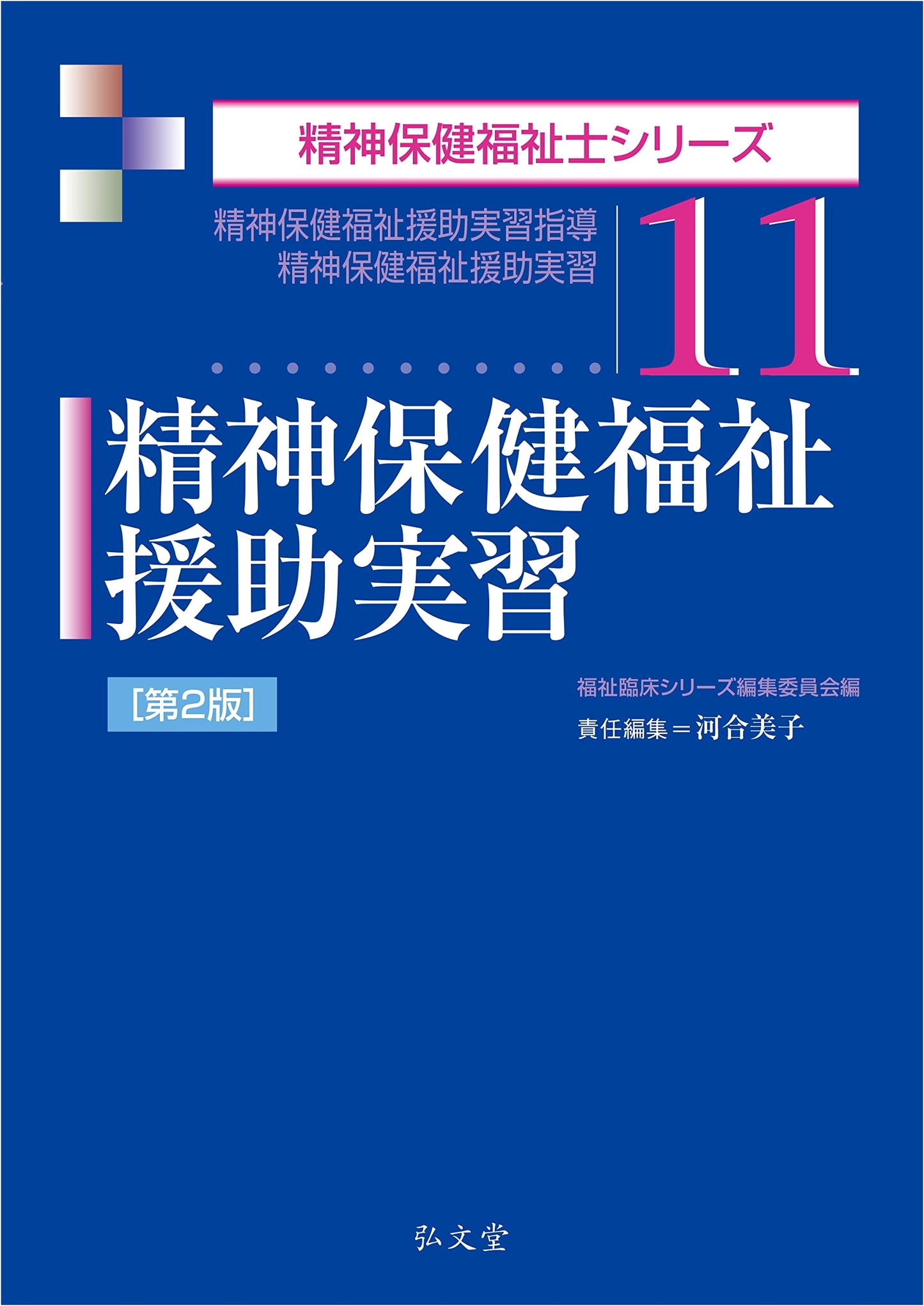 Mental Health and Welfare Support Practicum <2nd Ed> (Mental Health Worker Series)