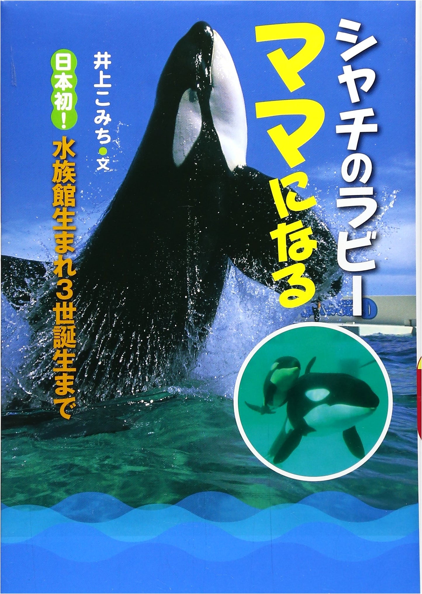 Luby the Orca Becomes a Mother: Japan's First 3rd Generation Aquarium Birth Story