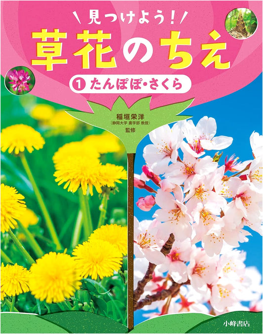 Dandelion and Cherry Blossom: Discovering the Wisdom of Wildflowers