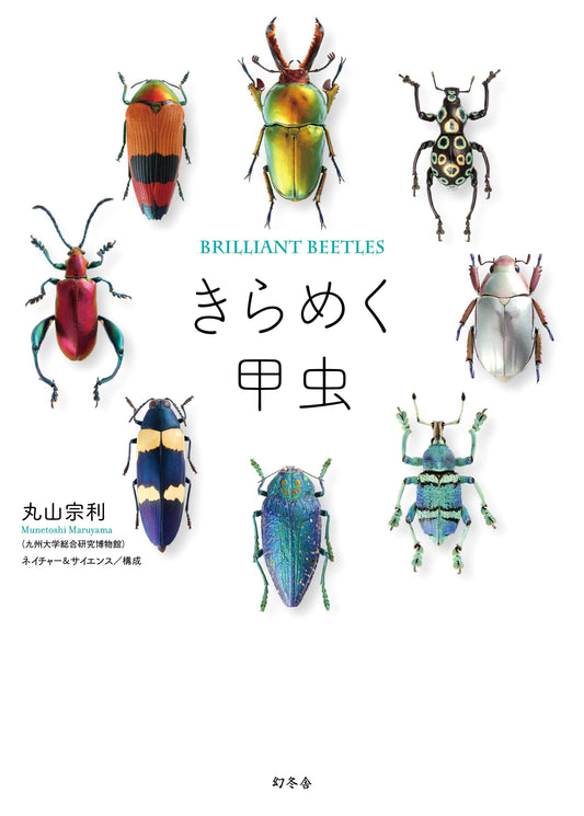 Sparkling Beetles