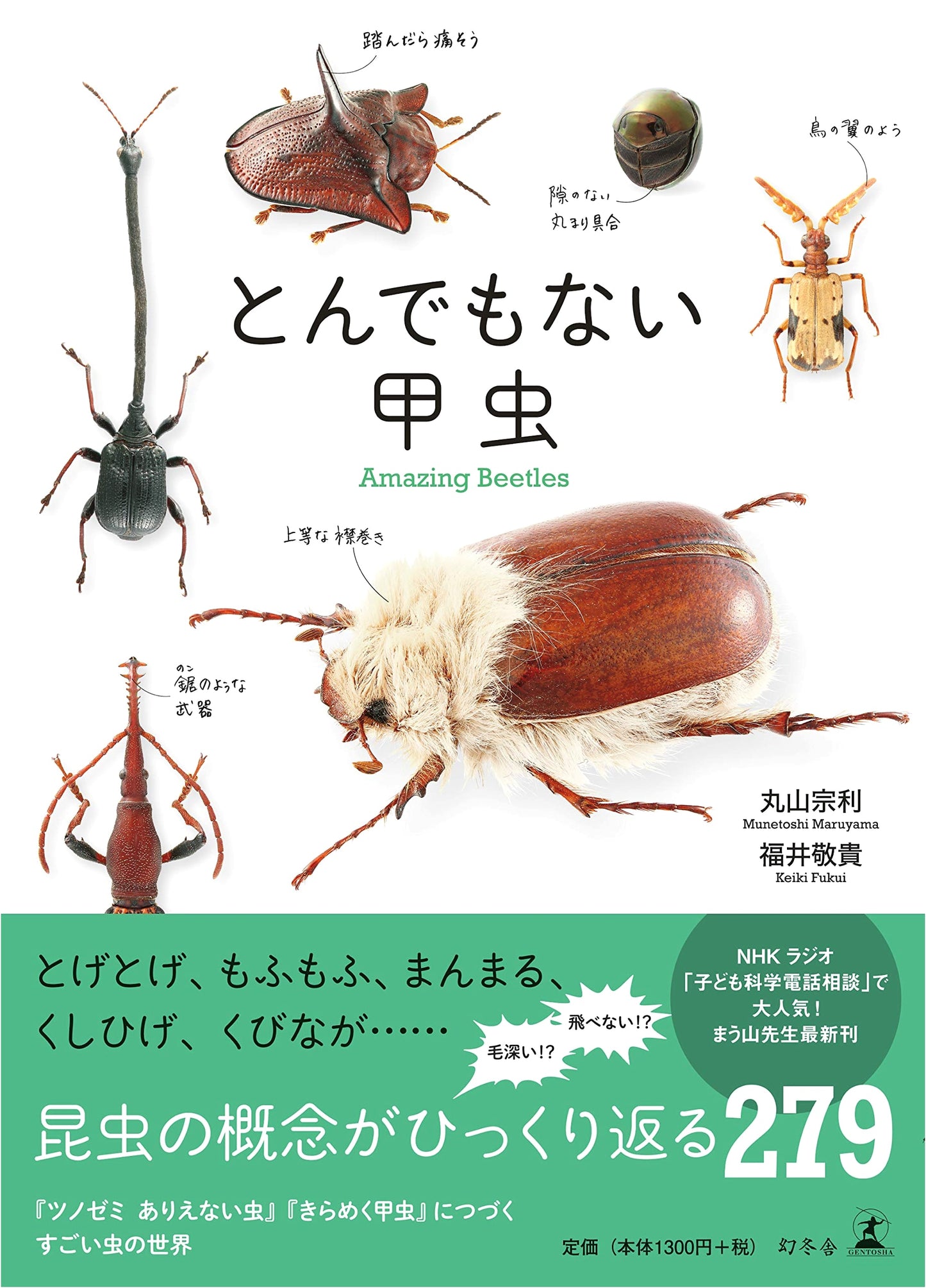 The Incredible Beetle