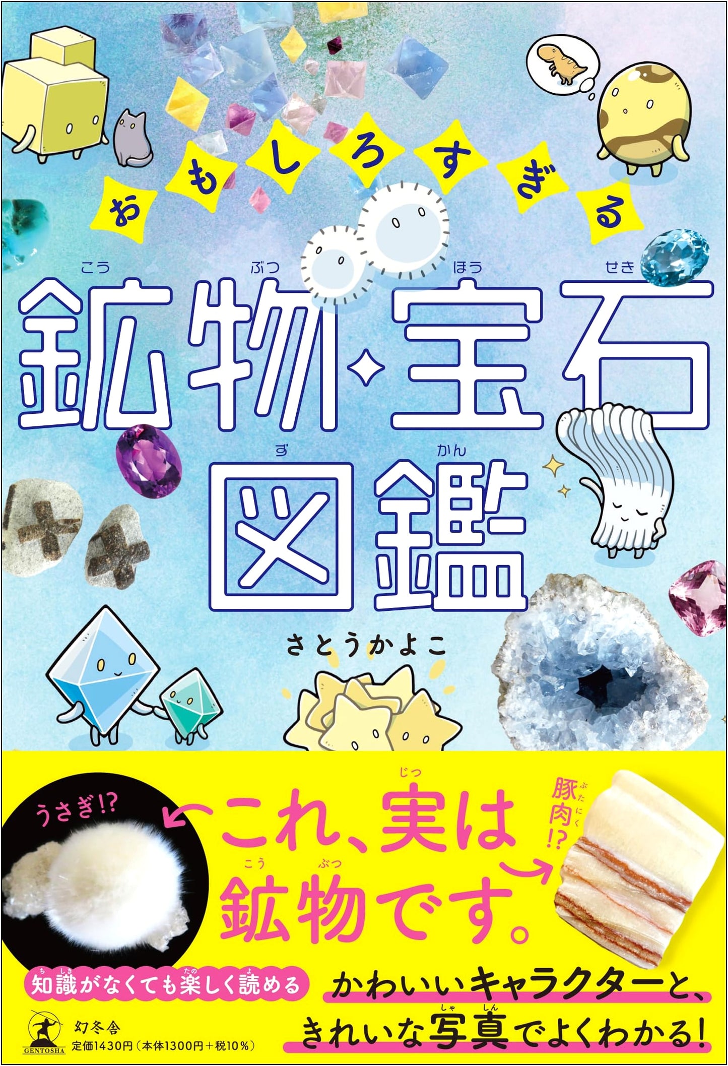 Too Interesting: An Illustrated Guide to Minerals and Gems
