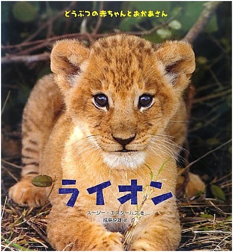 Lion: Baby Animals and Their Mothers