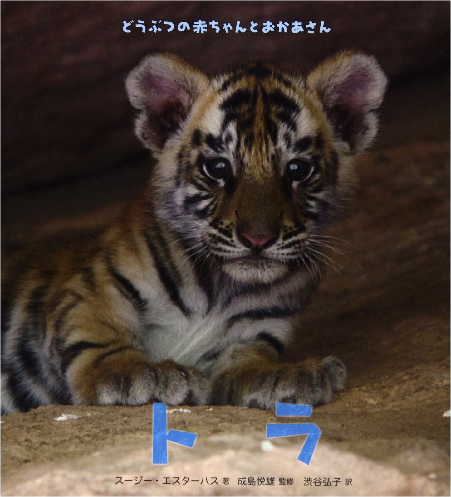 Tigers: Animal Babies and Their Mothers