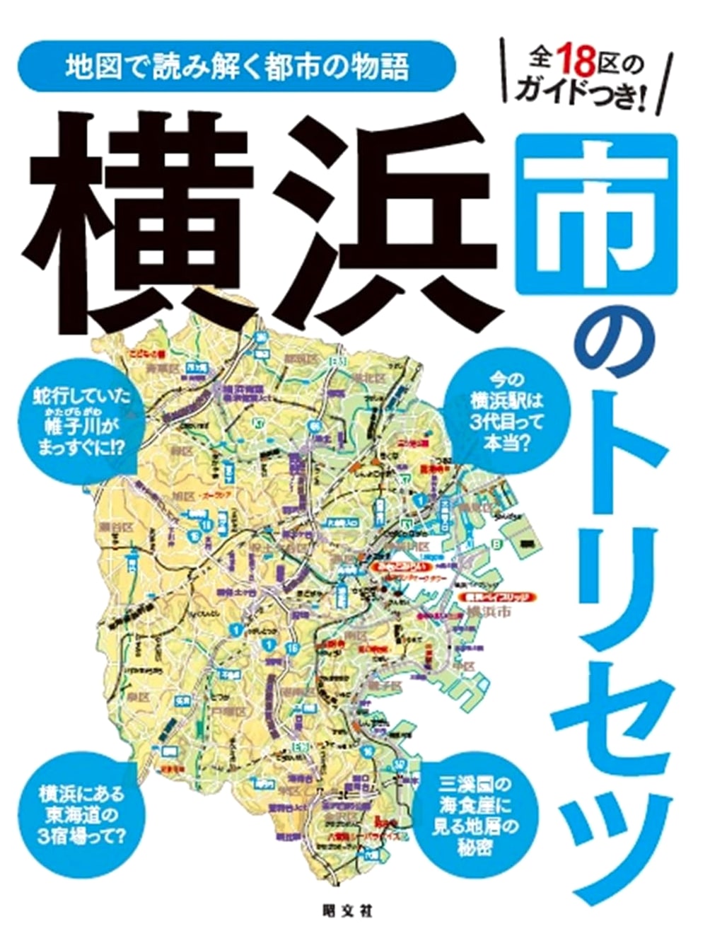 Yokohama City's Instruction Manual: Your Guide to Japan's Port City