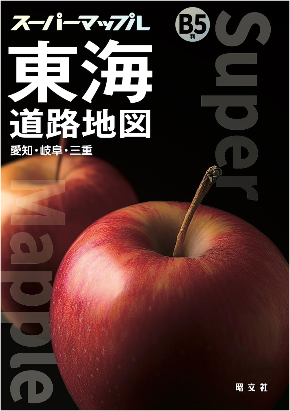 Super Mapple B5 Tokai Road Map