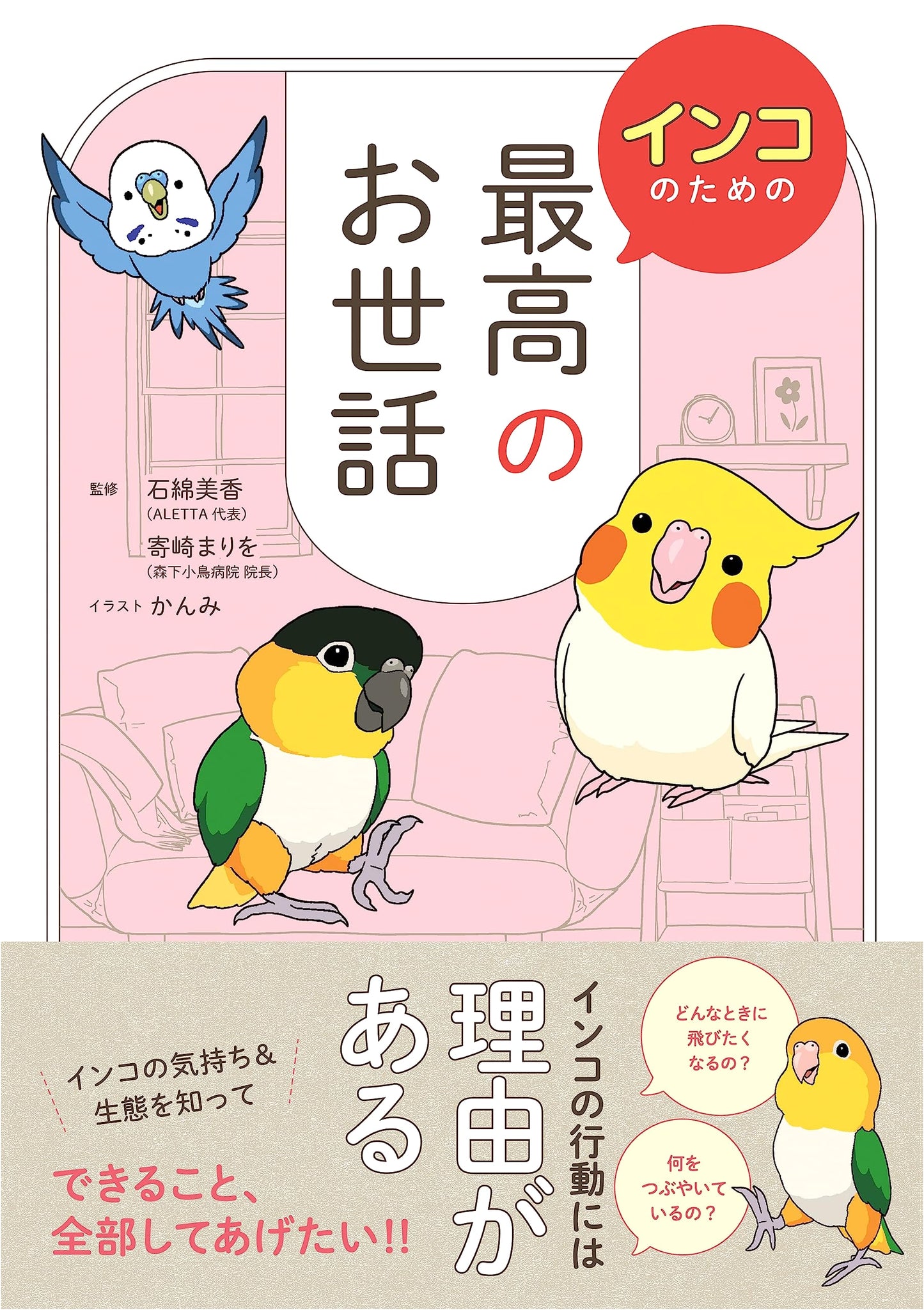 The Ultimate Guide to Parakeet Care