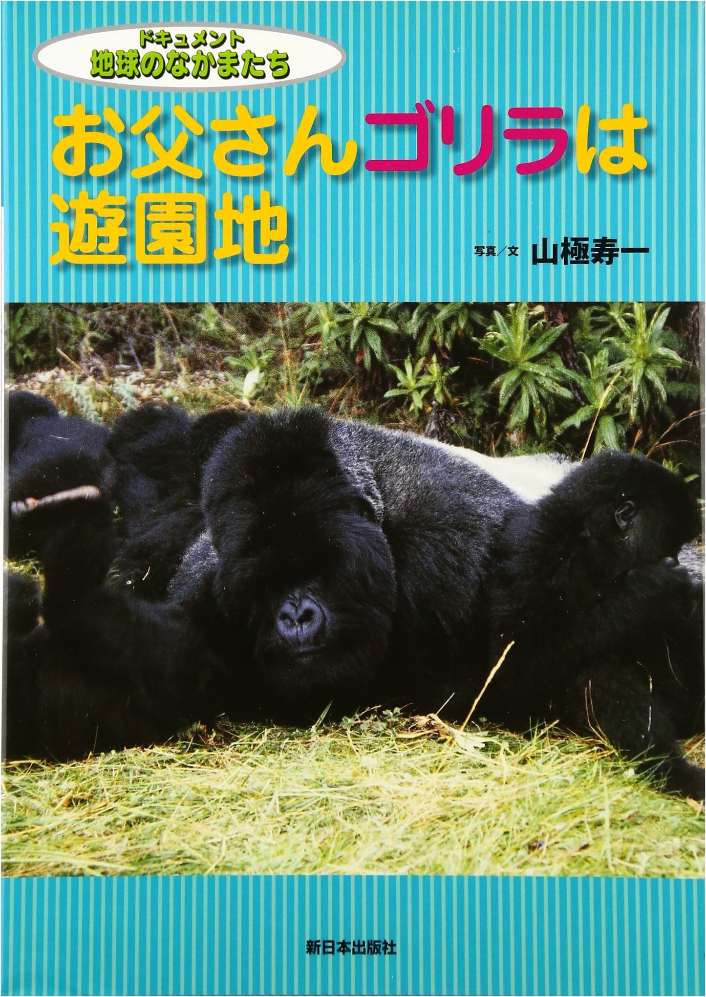 Father Gorilla is at the Amusement Park (Documenting Earth's Companions)