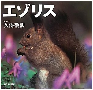 Ezo Squirrels: Wildlife of the Northern Country