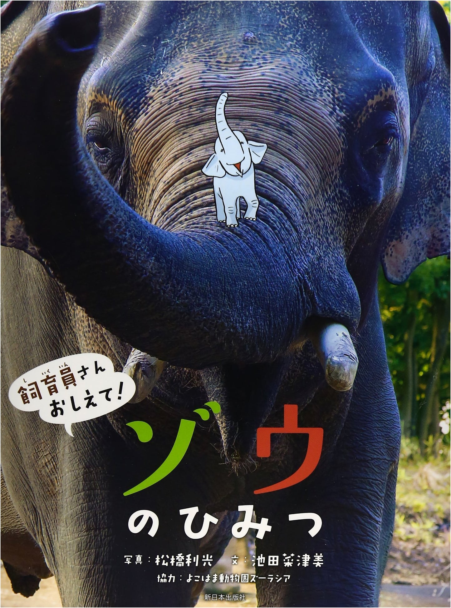 Secrets of the Elephant: Ask the Zookeeper!