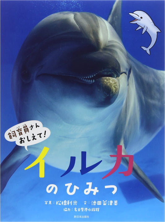 Secrets of Dolphins: Ask the Zookeeper!