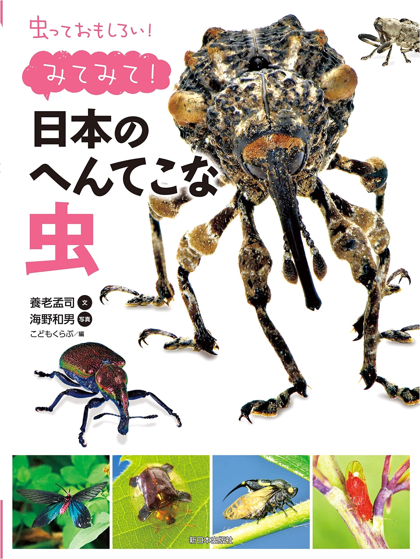 Look! Japan's Wacky Insects (Insects are Fun!)