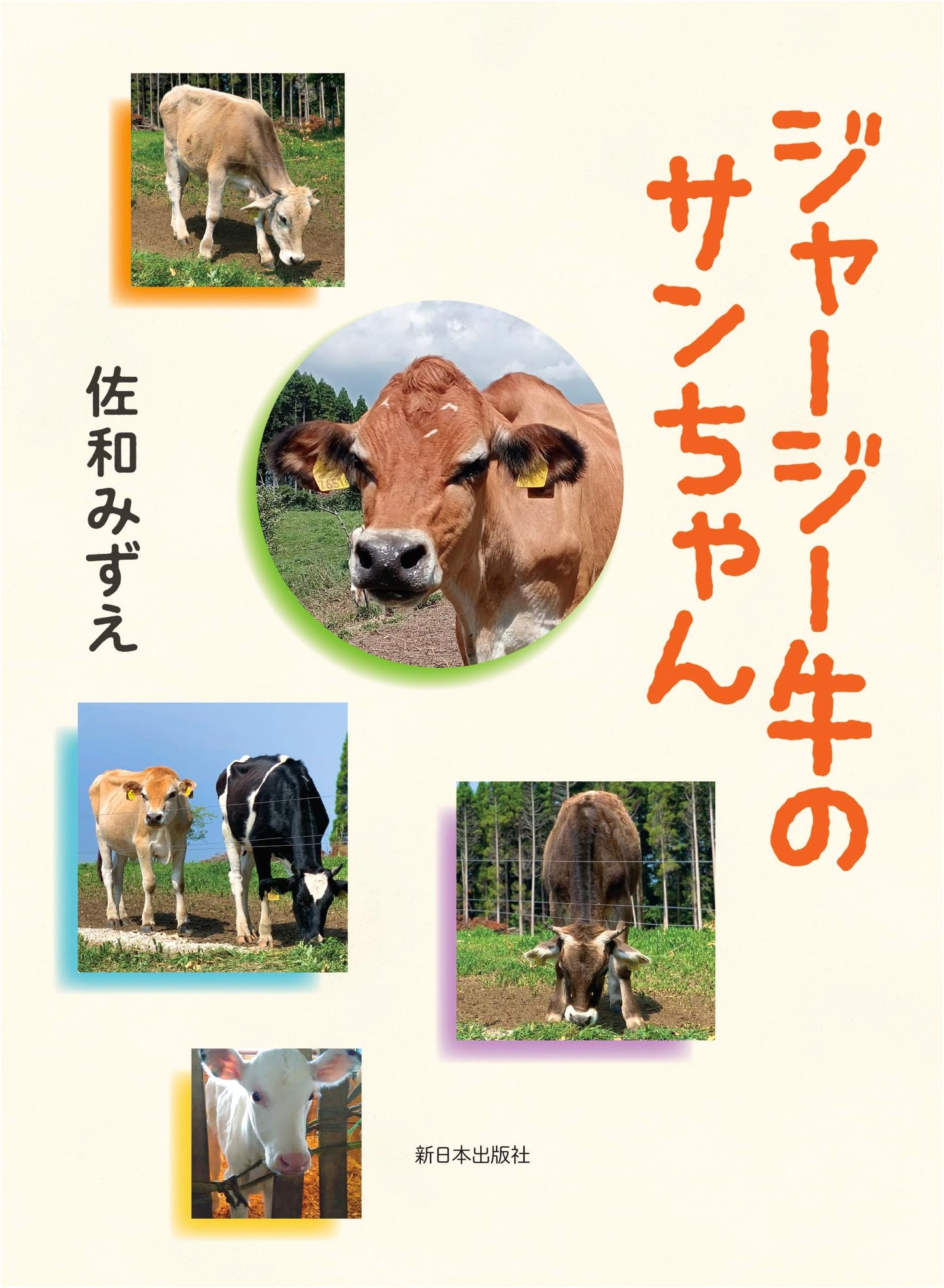 Sun-chan the Jersey Cow