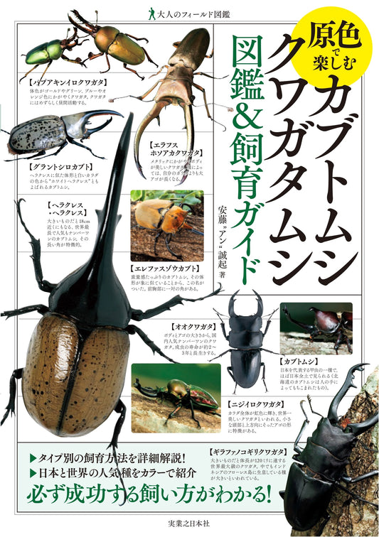 Adult's Full-Color Guide to Rhinoceros & Stag Beetles: Identification & Rearing