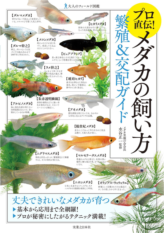 Adult Field Guide: Medaka Rice Fish Care, Breeding & Hybridization by a Pro