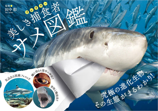 Beautiful Predators: A Shark Encyclopedia