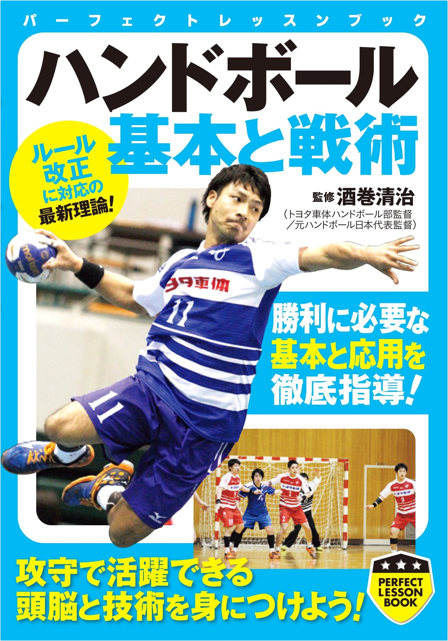 Handball: Fundamentals and Tactics (Perfect Lesson Book)