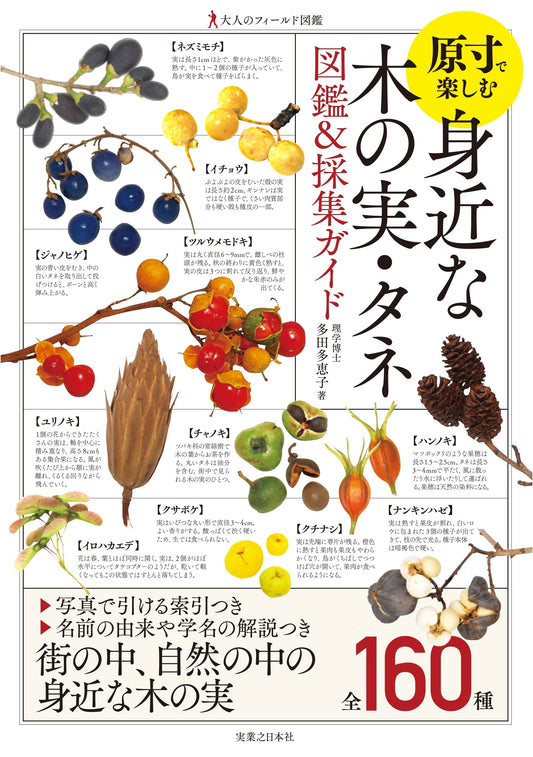 Adult's Field Guide to Familiar Tree Nuts & Seeds: Actual Size Encyclopedia & Collecting Guide